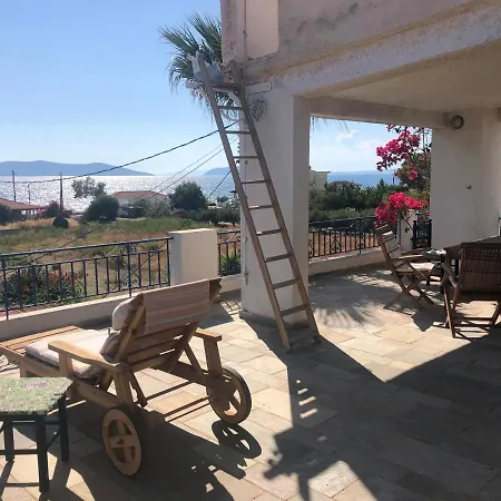 Paradise Apartamento